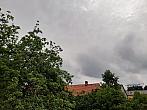 Olešná