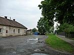 Třibřichy