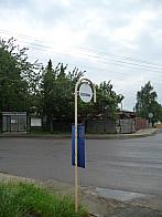 Třibřichy