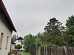 Olešná