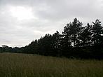 Český Těšín