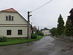 Třibřichy