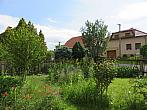 Třibřichy