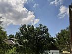 Olešná