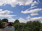 Olešná