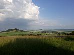 Podsedice