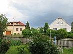 Třibřichy