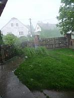 Třibřichy