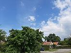 Olešná