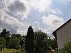 Olešná