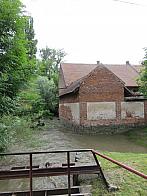 Třibřichy