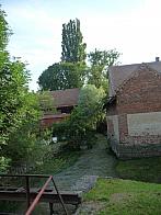 Třibřichy