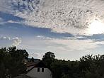 Olešná