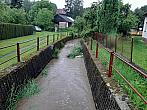 Olešná