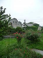 Třibřichy