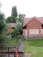 Třibřichy