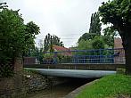 Třibřichy