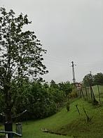 Skalité
