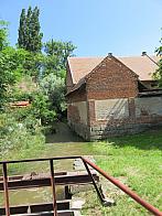 Třibřichy