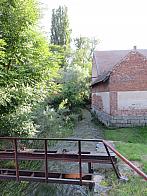 Třibřichy