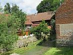 Třibřichy