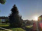 Olešná