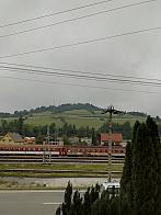 Skalité