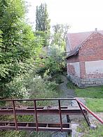 Třibřichy