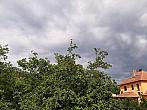 Olešná