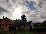 Olešná