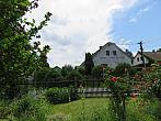 Třibřichy