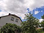 Olešná