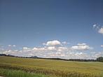 Plužná