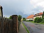 Třibřichy