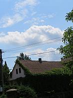 Třibřichy