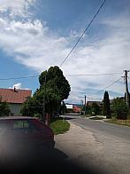 Hvozdnica