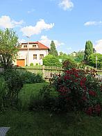 Třibřichy