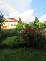 Třibřichy