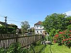 Třibřichy