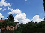 Olešná