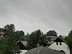 Olešná