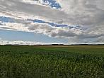Hostákov