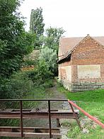 Třibřichy