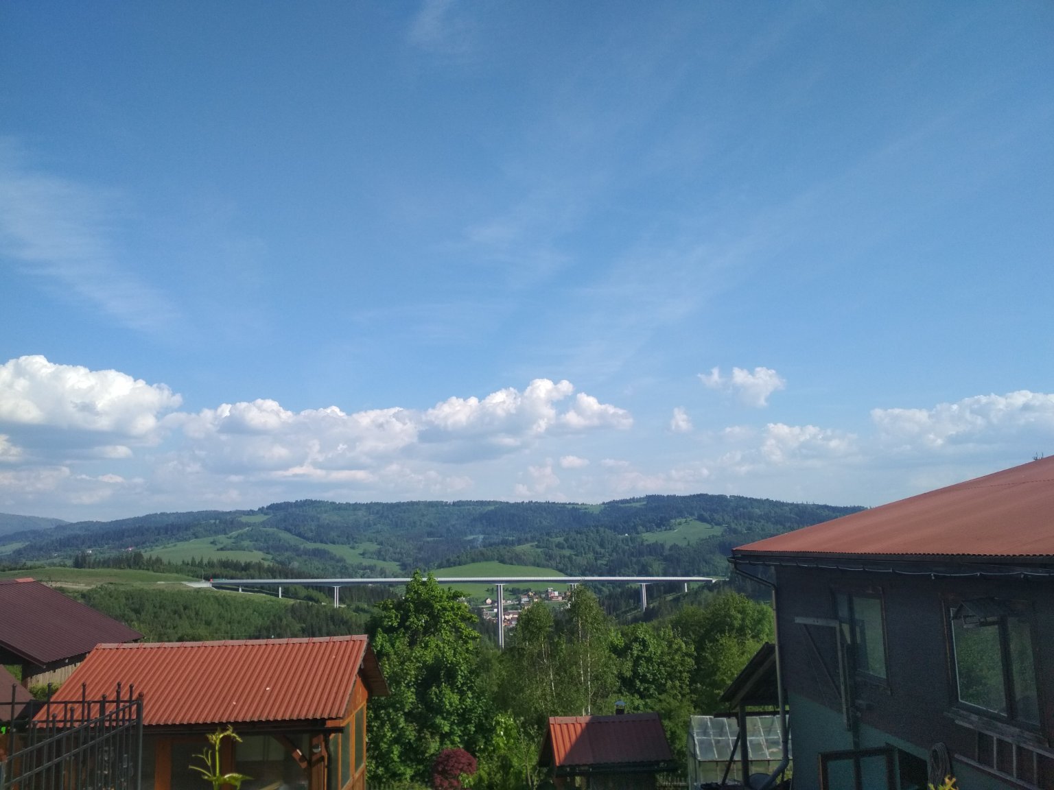 Hrčava