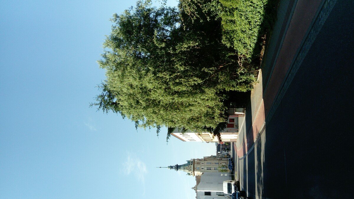 Hronov