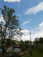 Skalité