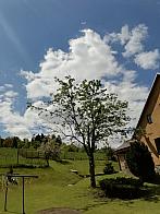 Skalité