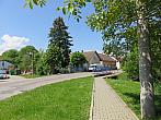 Třibřichy