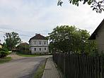Třibřichy