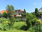 Třibřichy